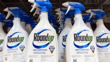 Spray bottles of Round Up weed killer, ready to use